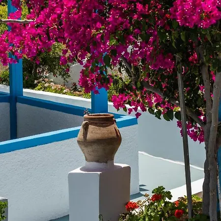 Lejlighed Ancient Thera *